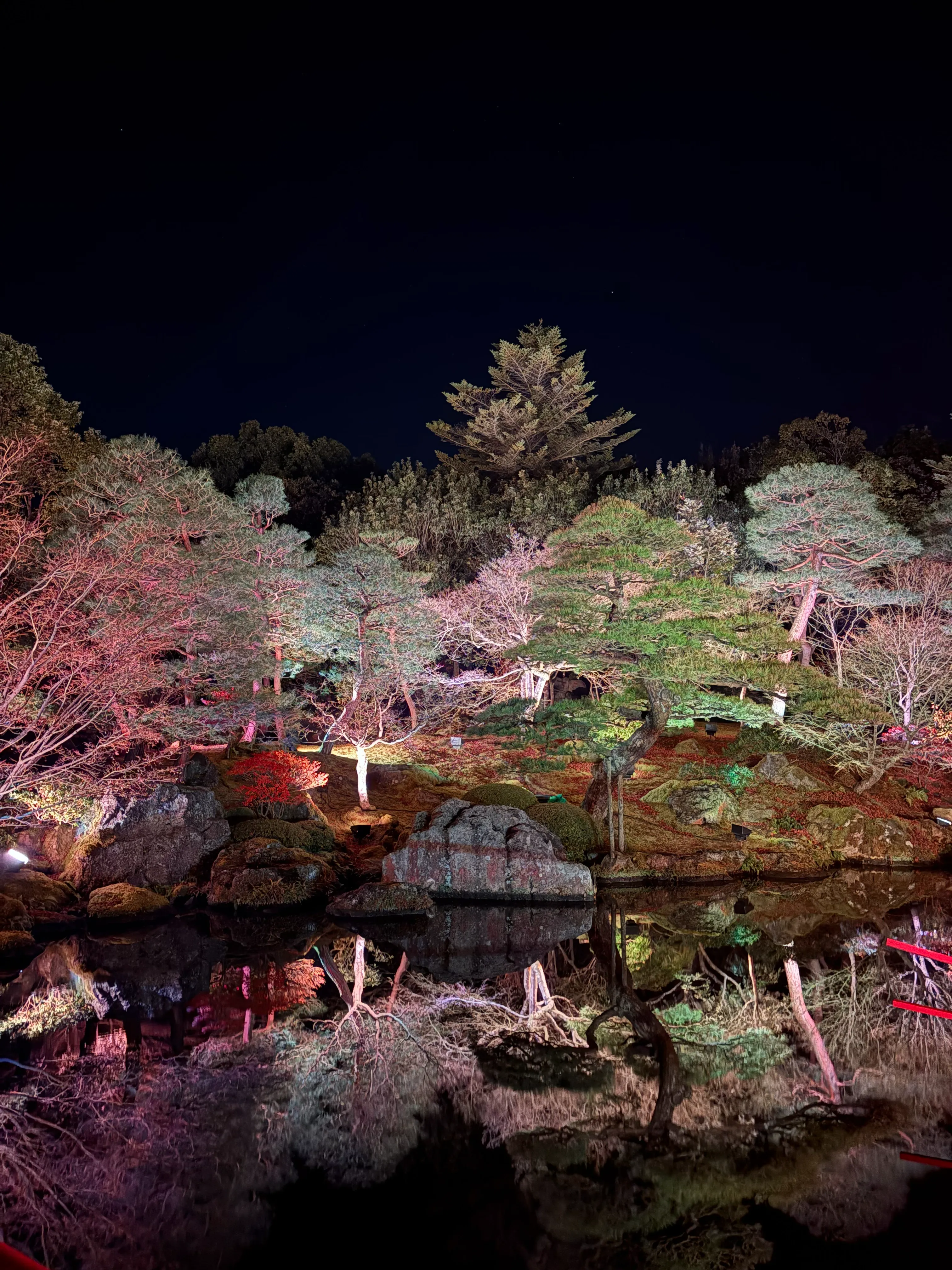 iphone16で撮影したイルミネーション 写真9